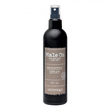 Artistique male co grooming spray 250ml