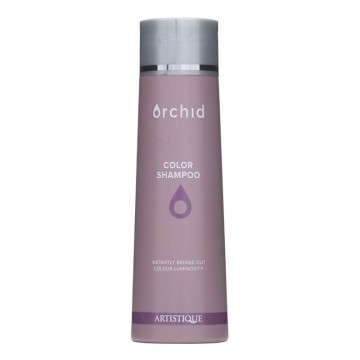 Artistique color  300ml